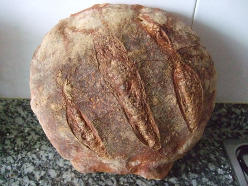 DSCF2449foro.jpg