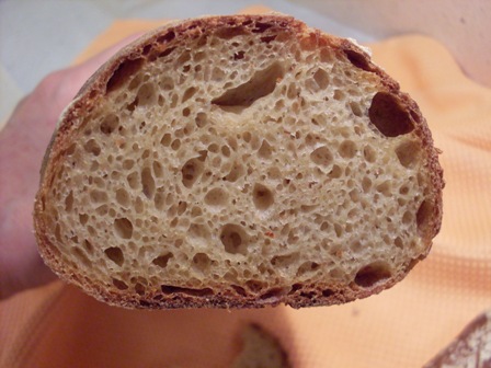 19 - molla blat, blat de moro i sèrum de llet      D. Lepard.JPG