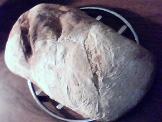 Pic-20100421-006.jpg