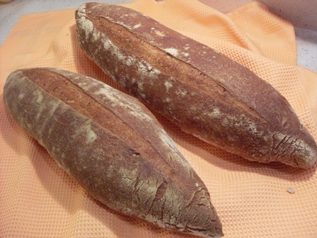 17 - barres de blat, blat de moro i sèrum de llet D. Lepard.JPG