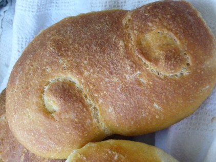 SICILIANO (422 x 316).jpg