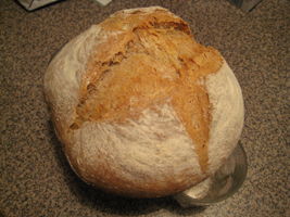 pan2.jpg