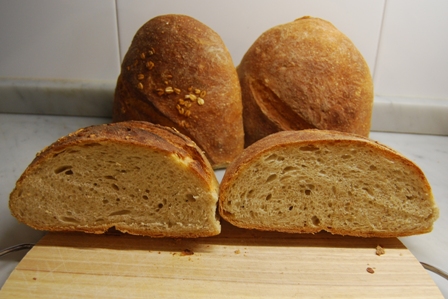 molla mercadona.jpg