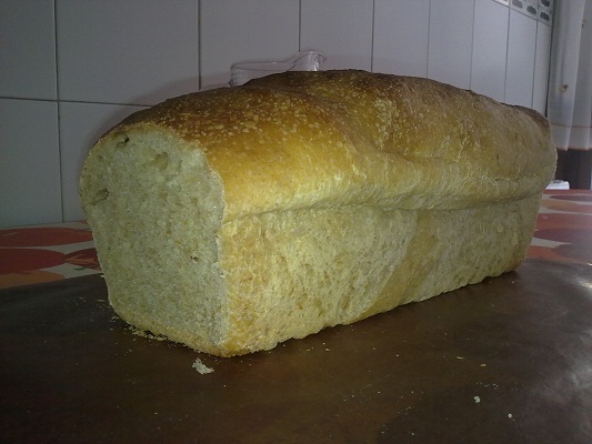 20110212_35.jpg