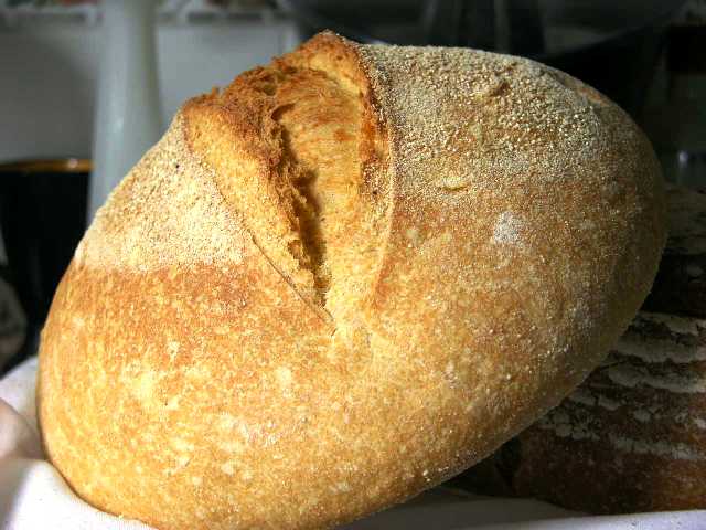 PAN DE ALTAMURAPEJPG.JPG