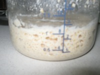 MM-liquida.jpg