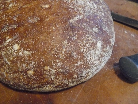 no-knead MM y bebida de malta.jpg