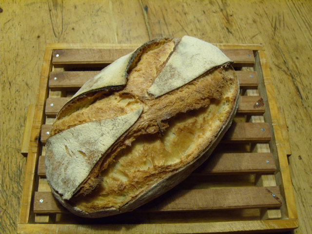 Pa de kamut 10.3.11.JPG