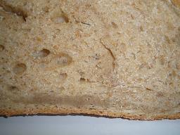 molla sègol i panadera_2.JPG