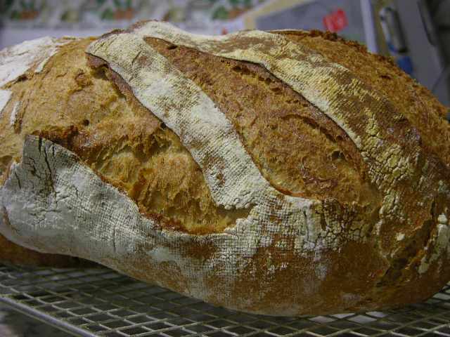 pan de trigo blanco-integralpeq.JPG