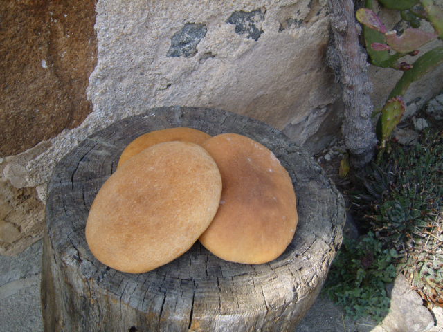 201 coca de pa.JPG