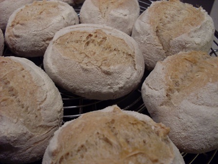 01 - mini llonguets (1ª proba).JPG