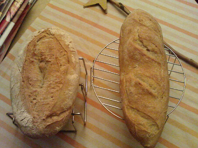 trigueño1+2 .JPG