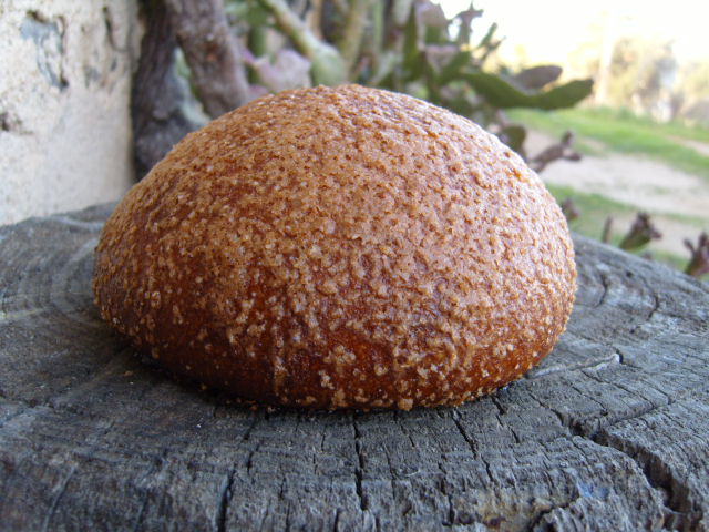 203 Mona de Pasqua.JPG
