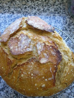 PAN PIREX 07-04 (2) (240 x 320).jpg