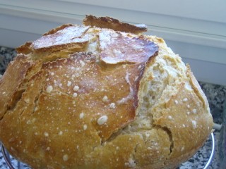 PAN PIREX 07-04 (3) (320 x 240).jpg