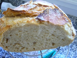 PAN PIREX 07-04 (320 x 240).jpg