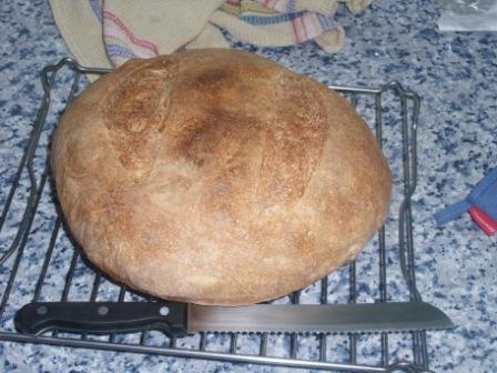 Pan 4 MM.jpg