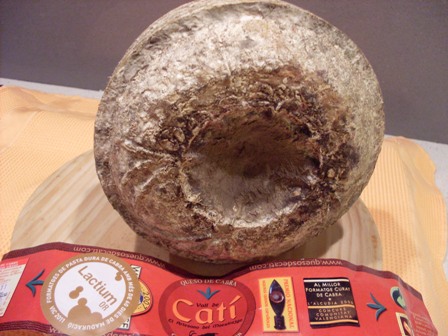 016 Catí de cabra.JPG