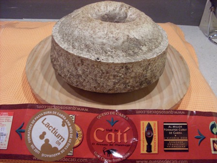 015 - medalla d´or Lactium 2011. Vall de Catí, pasta dura  de cabra amb més de 60 dies de maduració..JPG