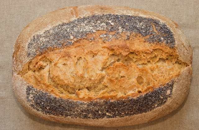 Pan de trigo integral!!!