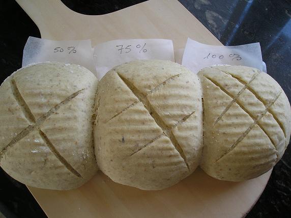 greñados para el horno.JPG
