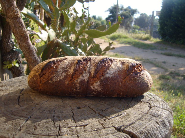 232 Pan de espelta y alcaravea