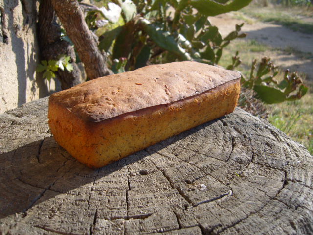 234 sg 50% zumo naranja