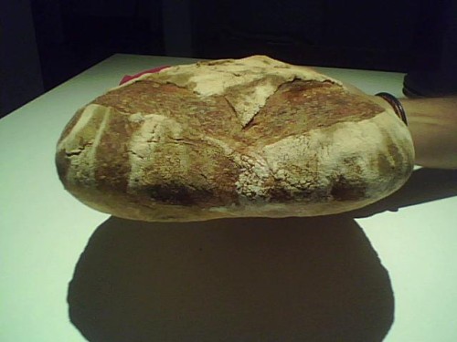 Imagen 006.jpg