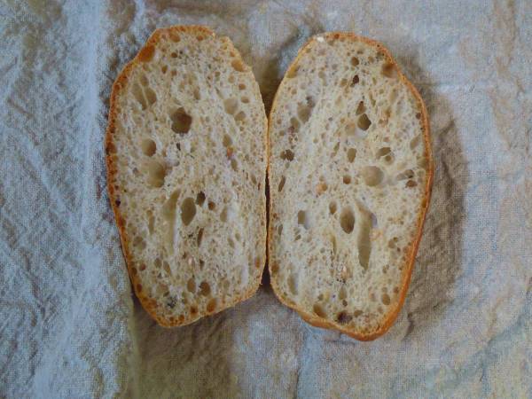 corte granary trigo 20611.jpg