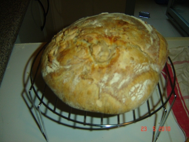 Pan masa madre 2º.JPG