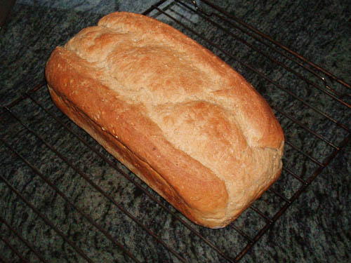 pan2.jpg