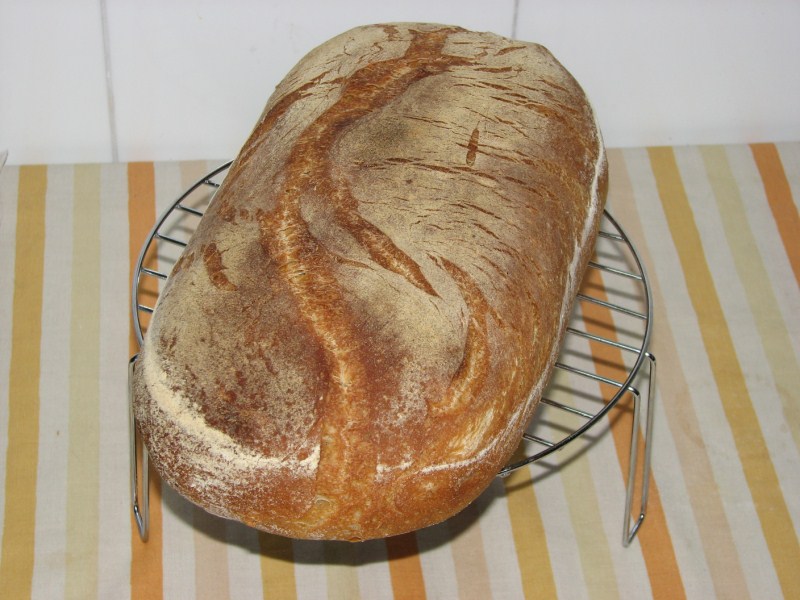 pan2.JPG