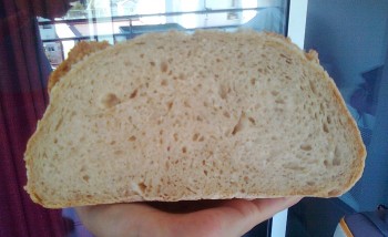 Pan blanco miga-r.jpg