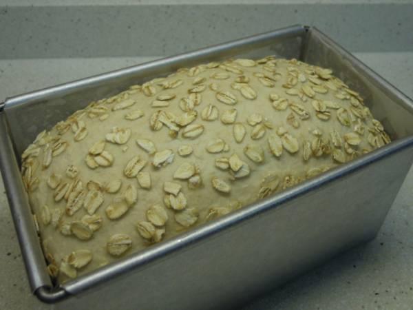 Antes de entrar en el horno