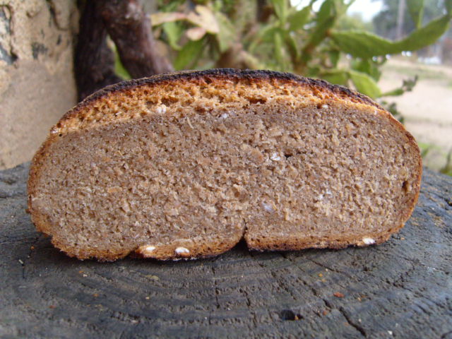 319 molla.JPG