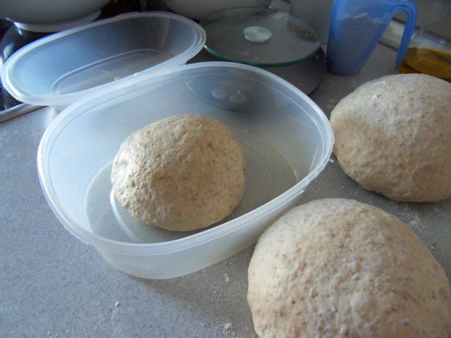 SDC16528.jpg