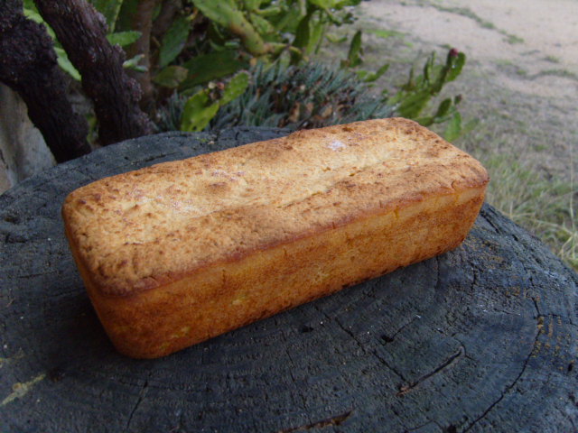 320 sg potato and quinoa bread.JPG