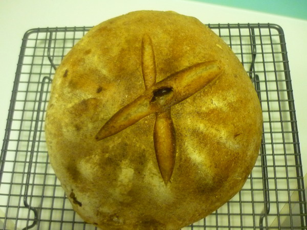 Pan nueces2 rdr.JPG