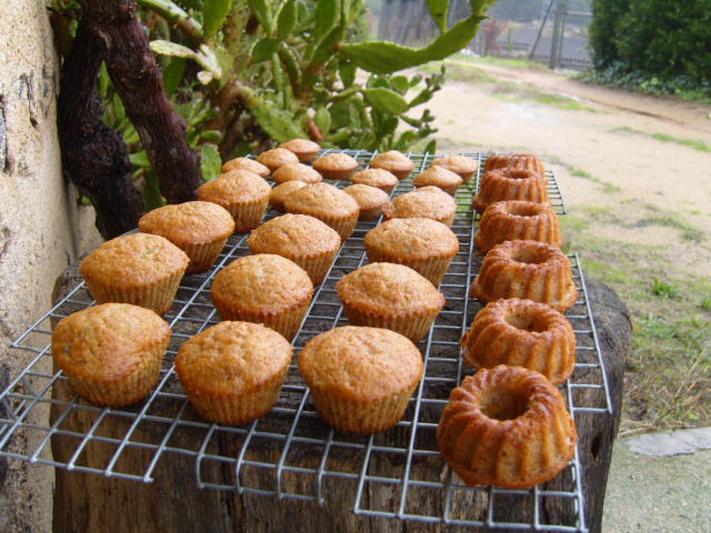 328 buttersctch banana cupcake.JPG