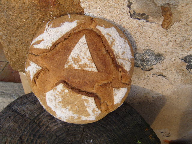 331 Pan de Adriano(Espelta).JPG