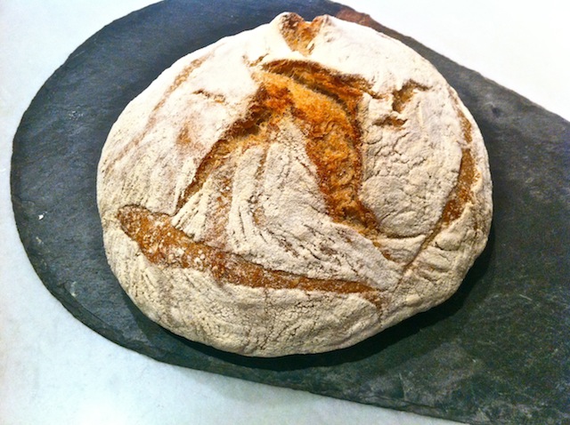 blat&segol1.JPG