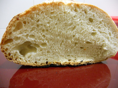 llevadura llesca.jpg