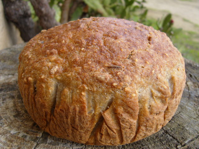 337 sg amb iogur,llavors i flocs.JPG