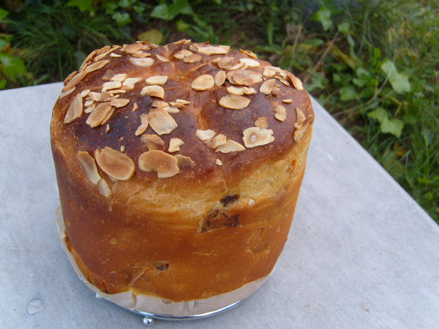 349 Panettone.JPG