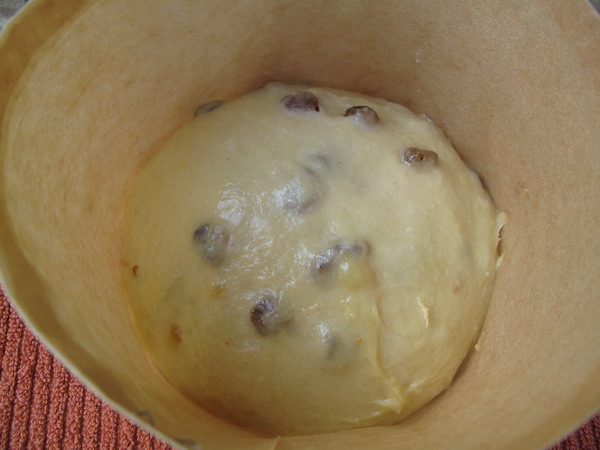 Panettone (3).JPG
