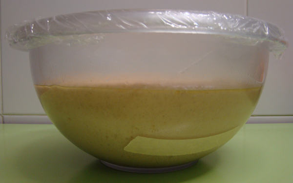 2011-12-22_pnt_05.jpg