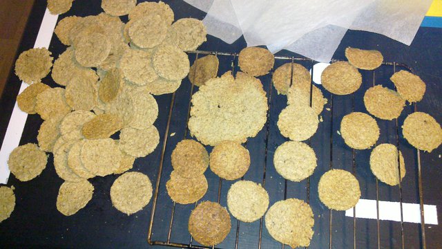 Cuantas Galletas!!