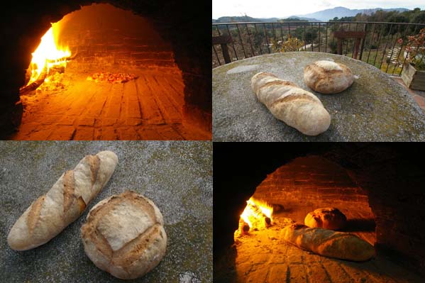 forn de llenya.jpg