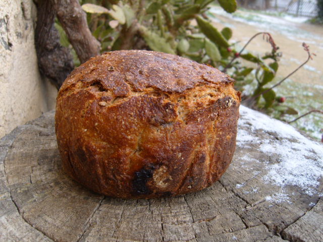 ' Espeltes ,nous  i  prunes.JPG
